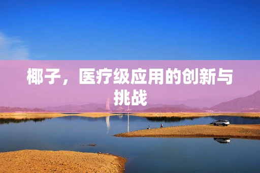 椰子，医疗级应用的创新与挑战