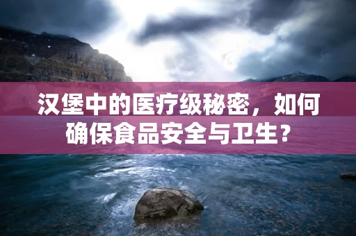 汉堡中的医疗级秘密，如何确保食品安全与卫生？