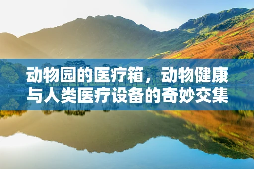 动物园的医疗箱，动物健康与人类医疗设备的奇妙交集