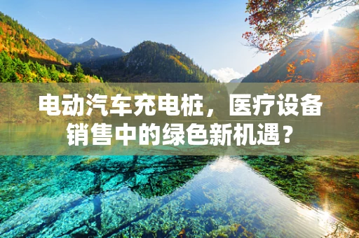 电动汽车充电桩，医疗设备销售中的绿色新机遇？