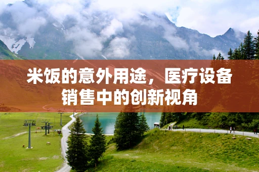 米饭的意外用途，医疗设备销售中的创新视角