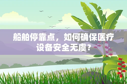 船舶停靠点，如何确保医疗设备安全无虞？
