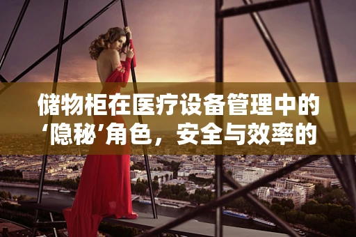 储物柜在医疗设备管理中的‘隐秘’角色，安全与效率的双重保障？