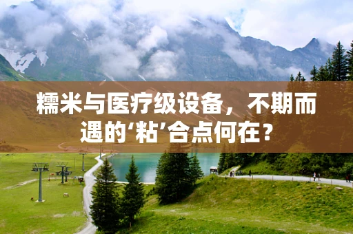 糯米与医疗级设备，不期而遇的‘粘’合点何在？