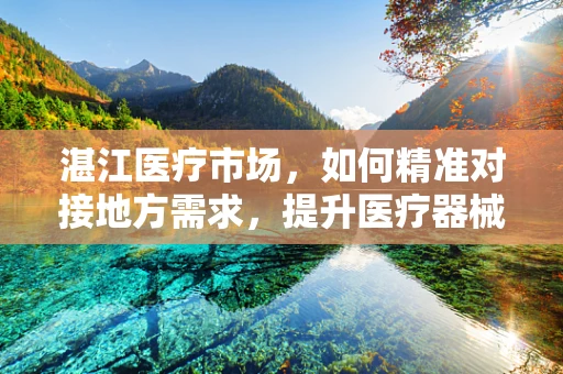 湛江医疗市场，如何精准对接地方需求，提升医疗器械的‘接地气’服务？