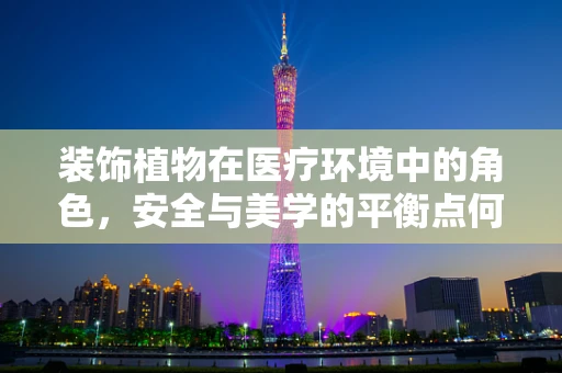 装饰植物在医疗环境中的角色，安全与美学的平衡点何在？