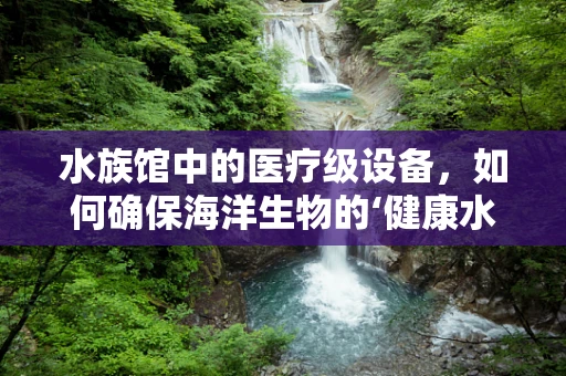 水族馆中的医疗级设备，如何确保海洋生物的‘健康水族’？