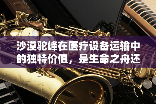 沙漠驼峰在医疗设备运输中的独特价值，是生命之舟还是应急之选？