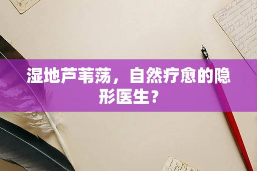 湿地芦苇荡，自然疗愈的隐形医生？