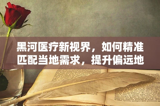 黑河医疗新视界，如何精准匹配当地需求，提升偏远地区医疗服务水平？