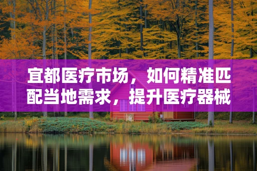 宜都医疗市场，如何精准匹配当地需求，提升医疗器械的适用性？