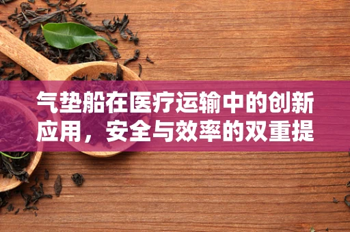 气垫船在医疗运输中的创新应用，安全与效率的双重提升？