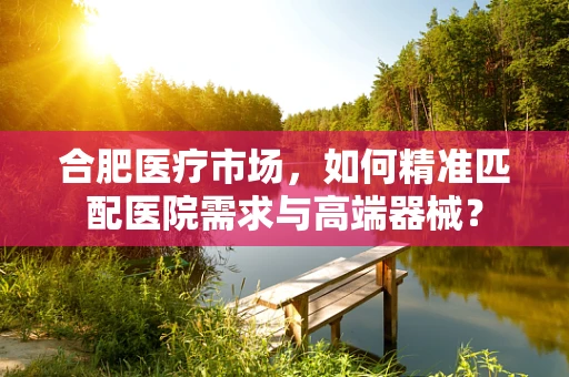合肥医疗市场，如何精准匹配医院需求与高端器械？