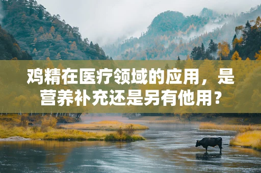 鸡精在医疗领域的应用，是营养补充还是另有他用？