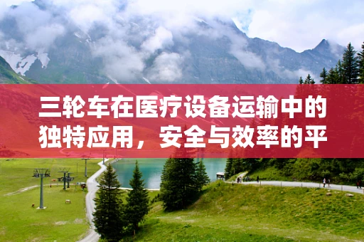 三轮车在医疗设备运输中的独特应用，安全与效率的平衡点何在？