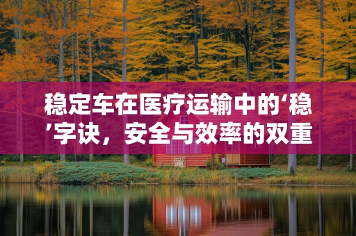 稳定车在医疗运输中的‘稳’字诀，安全与效率的双重保障？