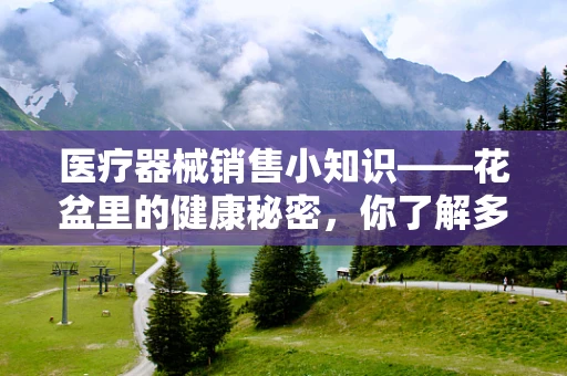 医疗器械销售小知识——花盆里的健康秘密，你了解多少？