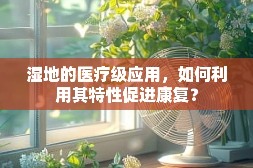 湿地的医疗级应用，如何利用其特性促进康复？