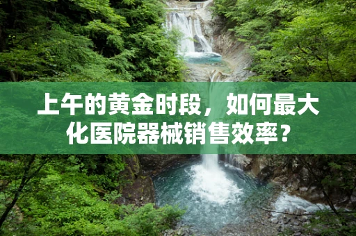 上午的黄金时段，如何最大化医院器械销售效率？