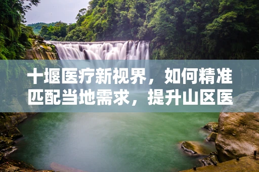 十堰医疗新视界，如何精准匹配当地需求，提升山区医疗设备效能？