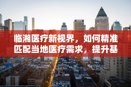 临湘医疗新视界，如何精准匹配当地医疗需求，提升基层诊疗效率？