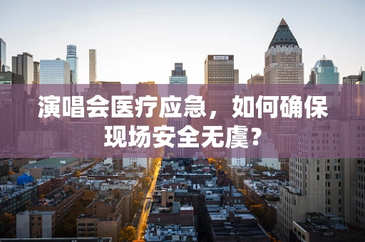 演唱会医疗应急，如何确保现场安全无虞？