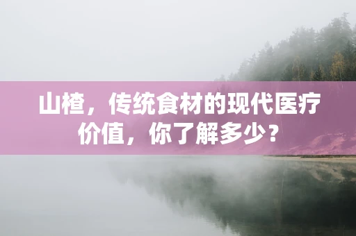 山楂，传统食材的现代医疗价值，你了解多少？
