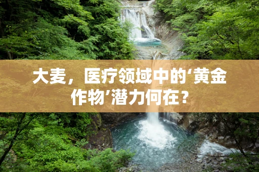 大麦，医疗领域中的‘黄金作物’潜力何在？
