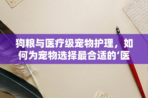 狗粮与医疗级宠物护理，如何为宠物选择最合适的‘医疗设备’？