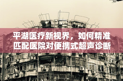 平湖医疗新视界，如何精准匹配医院对便携式超声诊断仪的需求？