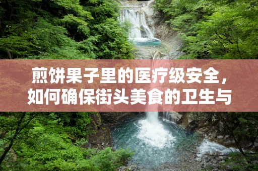 煎饼果子里的医疗级安全，如何确保街头美食的卫生与健康？