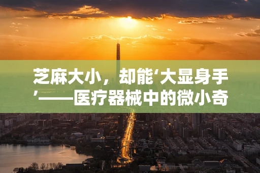 芝麻大小，却能‘大显身手’——医疗器械中的微小奇迹？