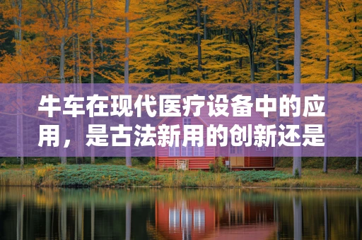 牛车在现代医疗设备中的应用，是古法新用的创新还是历史回响？