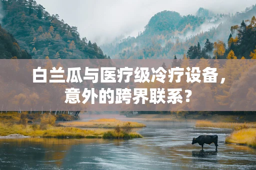 白兰瓜与医疗级冷疗设备，意外的跨界联系？