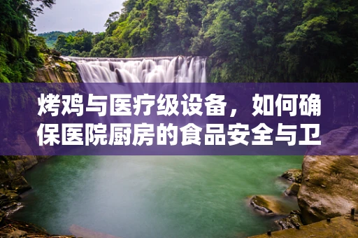 烤鸡与医疗级设备，如何确保医院厨房的食品安全与卫生？