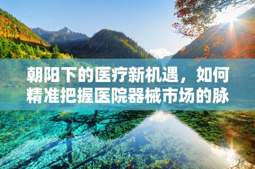 朝阳下的医疗新机遇，如何精准把握医院器械市场的脉搏？