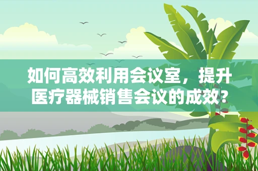 如何高效利用会议室，提升医疗器械销售会议的成效？