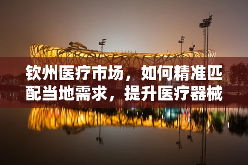 钦州医疗市场，如何精准匹配当地需求，提升医疗器械销售效率？