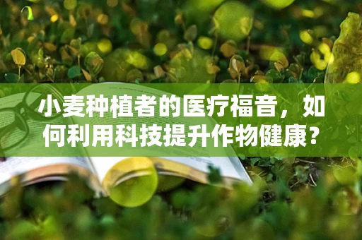 小麦种植者的医疗福音，如何利用科技提升作物健康？