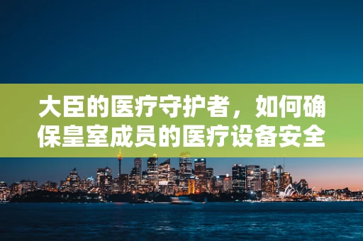 大臣的医疗守护者，如何确保皇室成员的医疗设备安全高效？