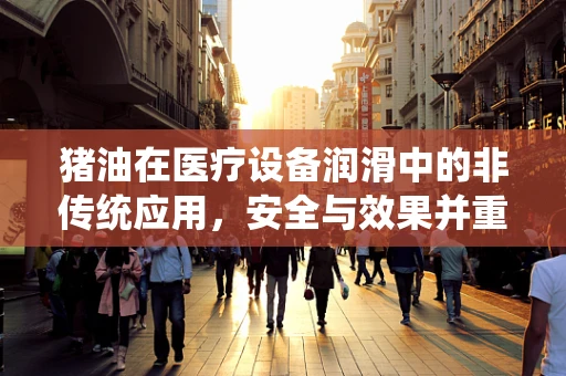 猪油在医疗设备润滑中的非传统应用，安全与效果并重