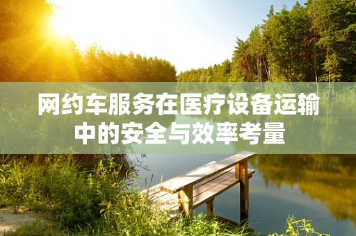 网约车服务在医疗设备运输中的安全与效率考量
