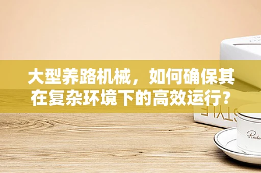大型养路机械，如何确保其在复杂环境下的高效运行？