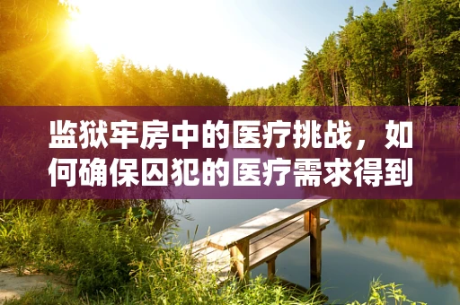 监狱牢房中的医疗挑战，如何确保囚犯的医疗需求得到满足？