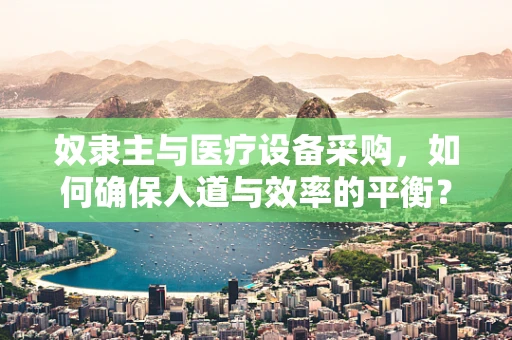 奴隶主与医疗设备采购，如何确保人道与效率的平衡？