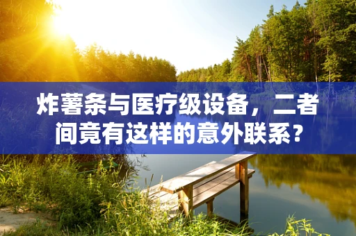 炸薯条与医疗级设备，二者间竟有这样的意外联系？