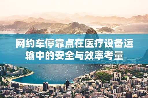 网约车停靠点在医疗设备运输中的安全与效率考量