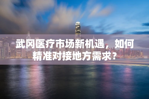 武冈医疗市场新机遇，如何精准对接地方需求？