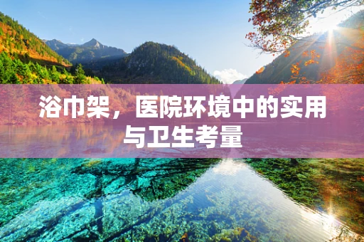 浴巾架，医院环境中的实用与卫生考量