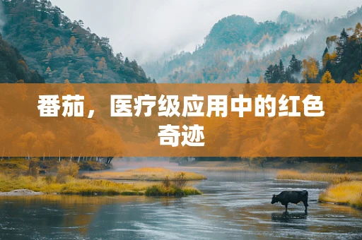 番茄，医疗级应用中的红色奇迹